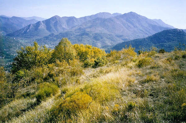 Gortyna borelii- biotope dans les Alpes-Maritimes.